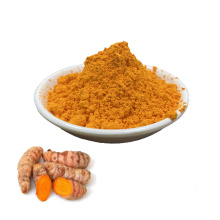 Best Price Pure Organic Turmeric Extract 95% Powder